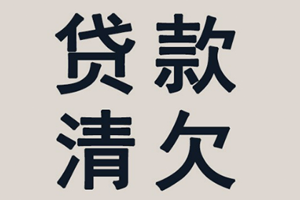 保险公司追偿能否分期还款？